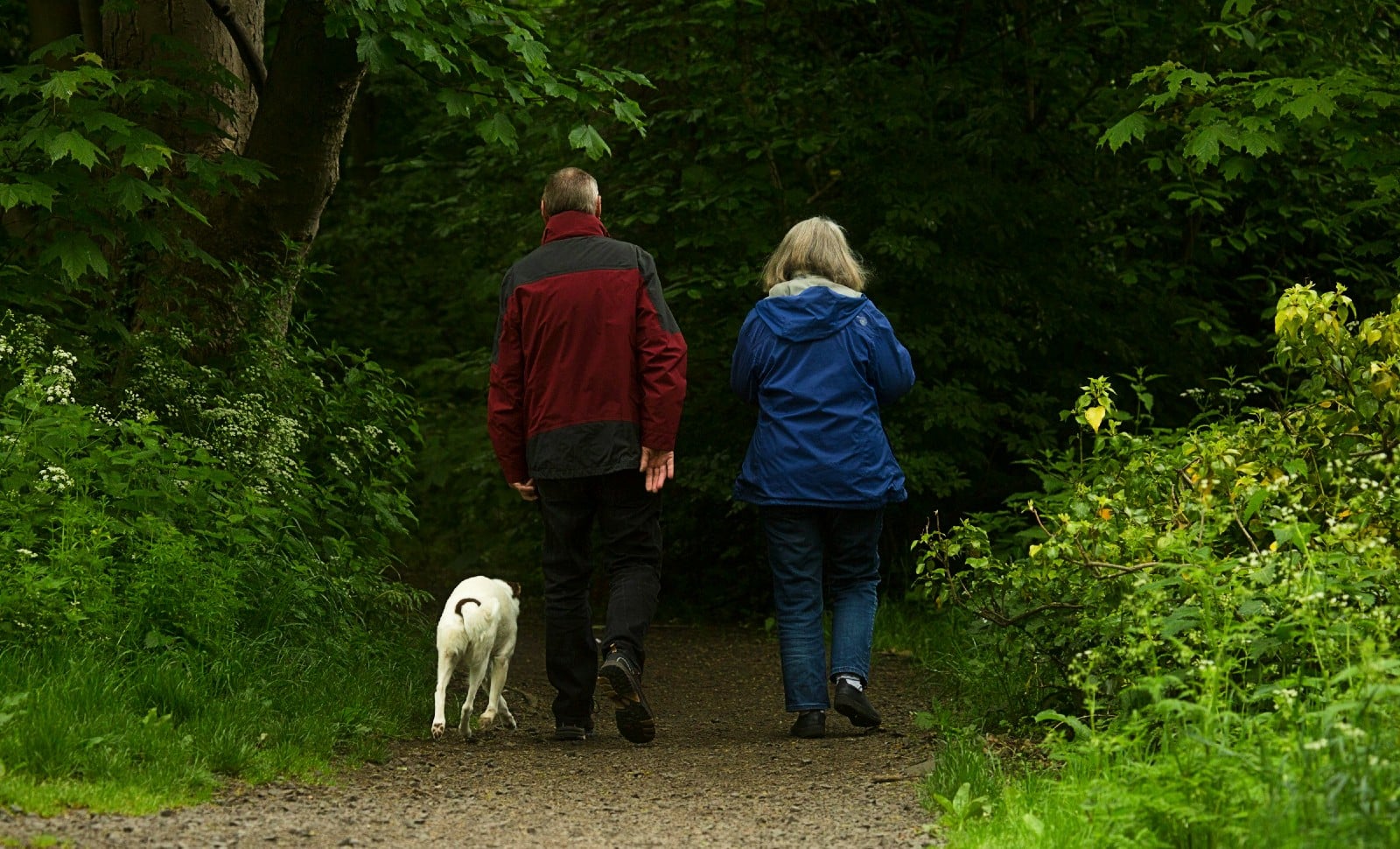 Boomers contre zoomers: c’est Nicolas qui paye?