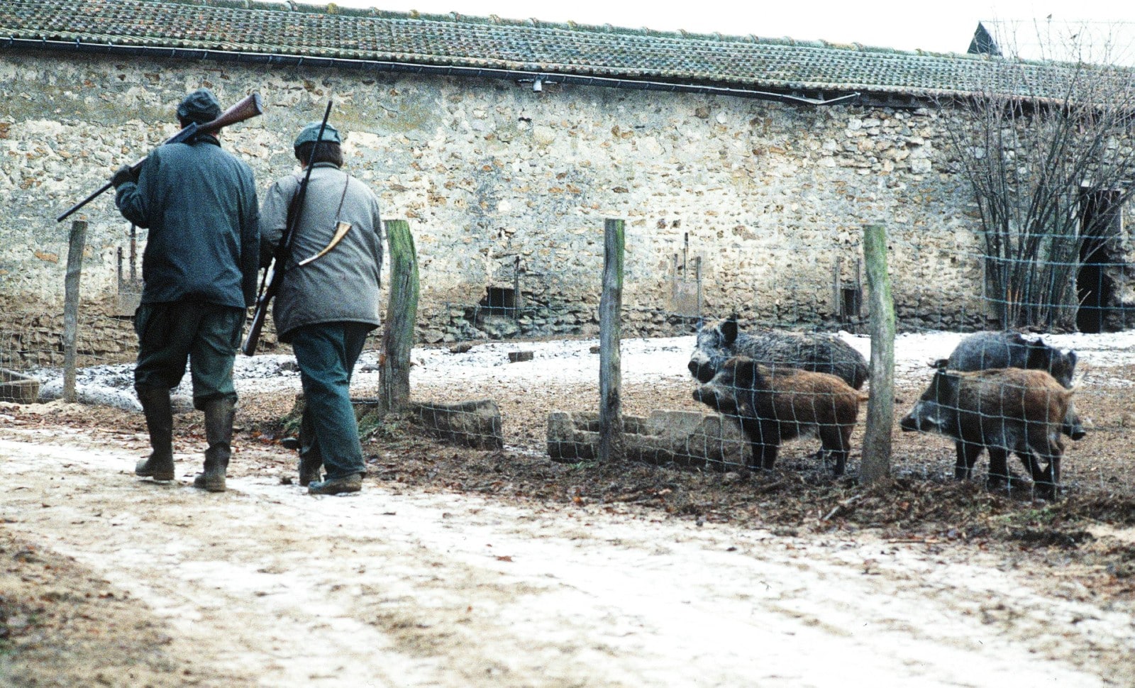 Les ultra-riches, la Sologne, la chasse