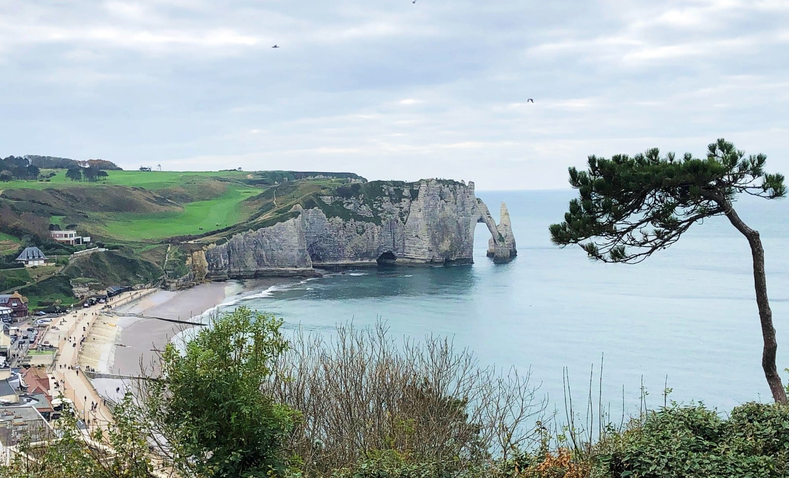 Etretat et les métamorphoses
