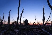 Quelle connerie la guerre…