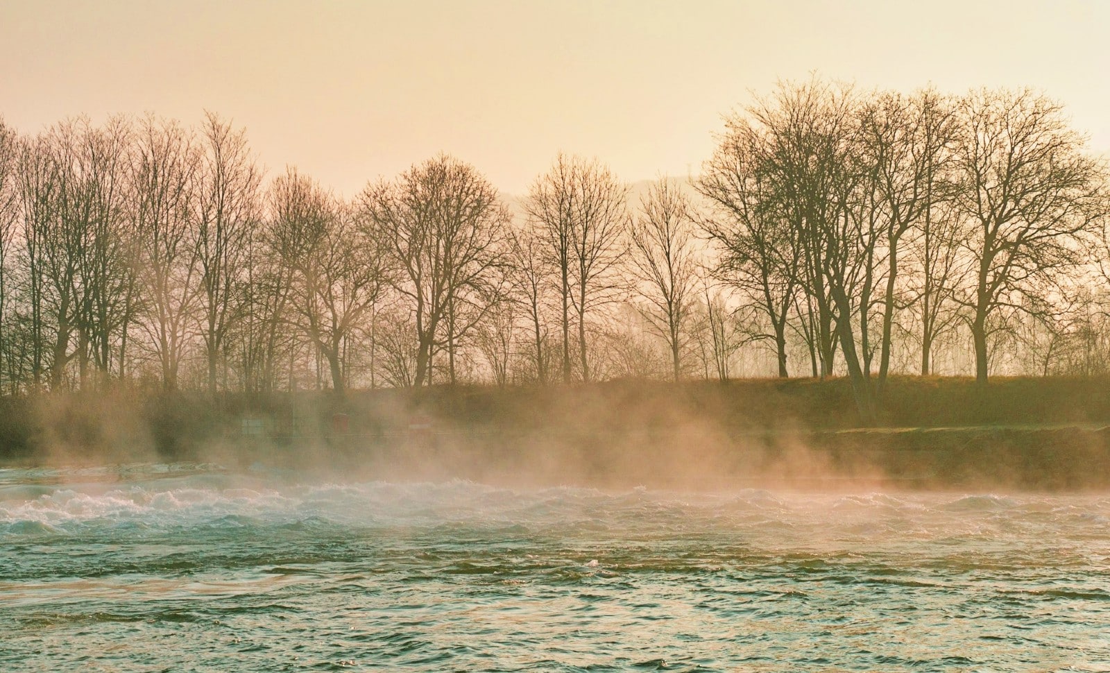 Un casse-tête théodoricien !