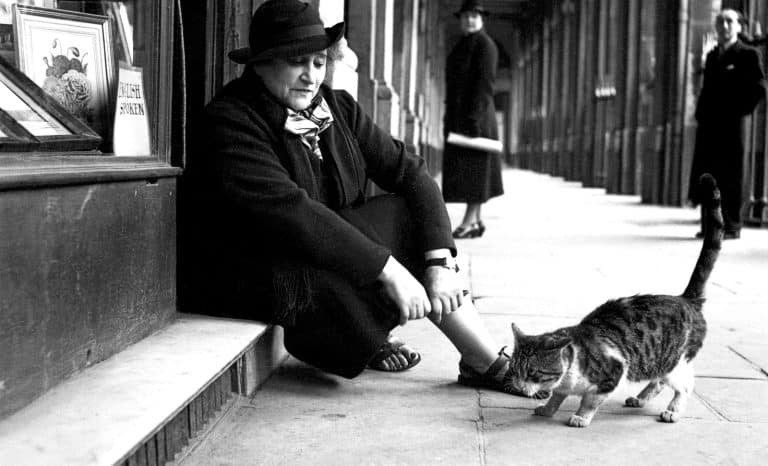Résistance passive à Palais-Royal