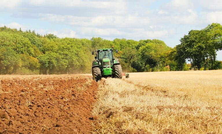 Au temps de l’abondance agricole