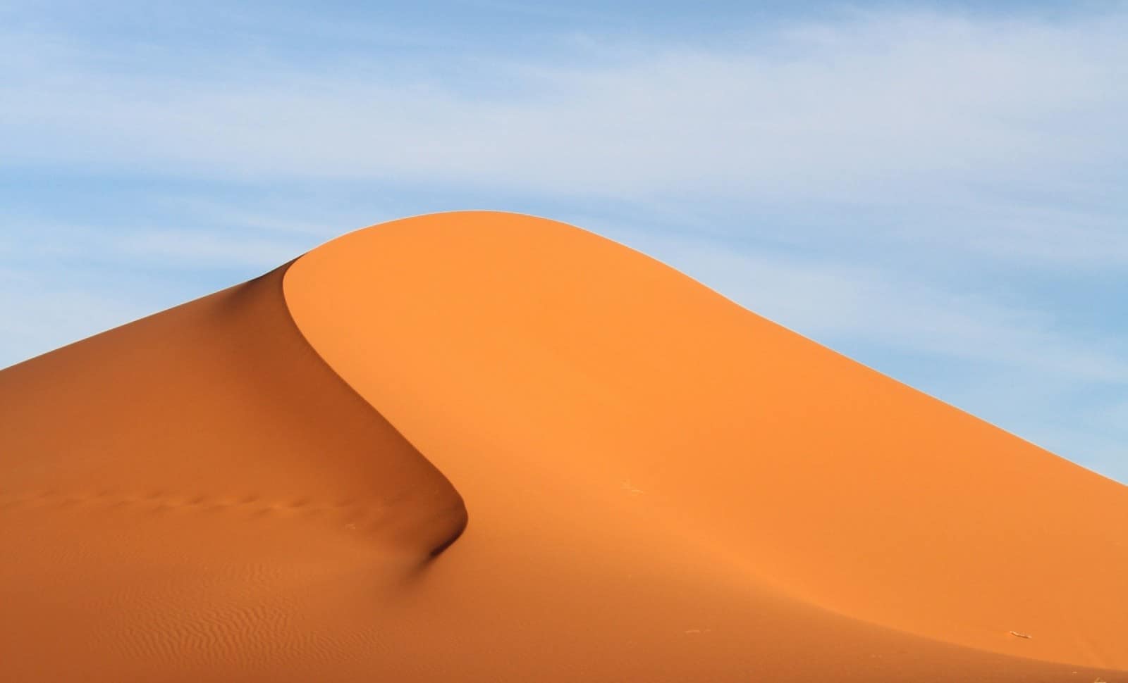 La dhimmitude pour les nuls La dhimmitude pour les nuls