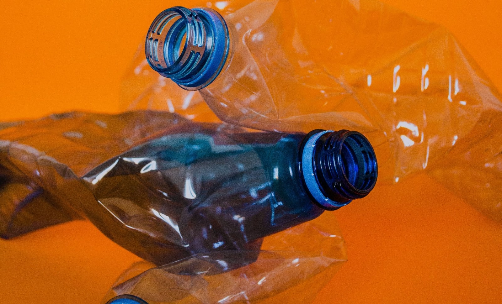 Pollution plastique: du fantasme militant à la réalité scientifique