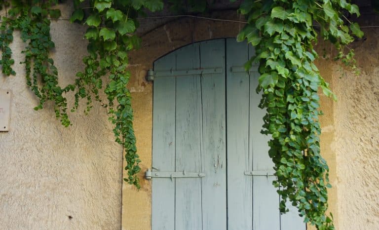 «Parisiens en exil»: quand les bobos fuient Paris pour mieux s&rsquo;y noyer