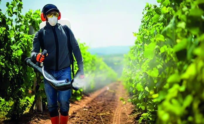 agriculture-bio-cuivre