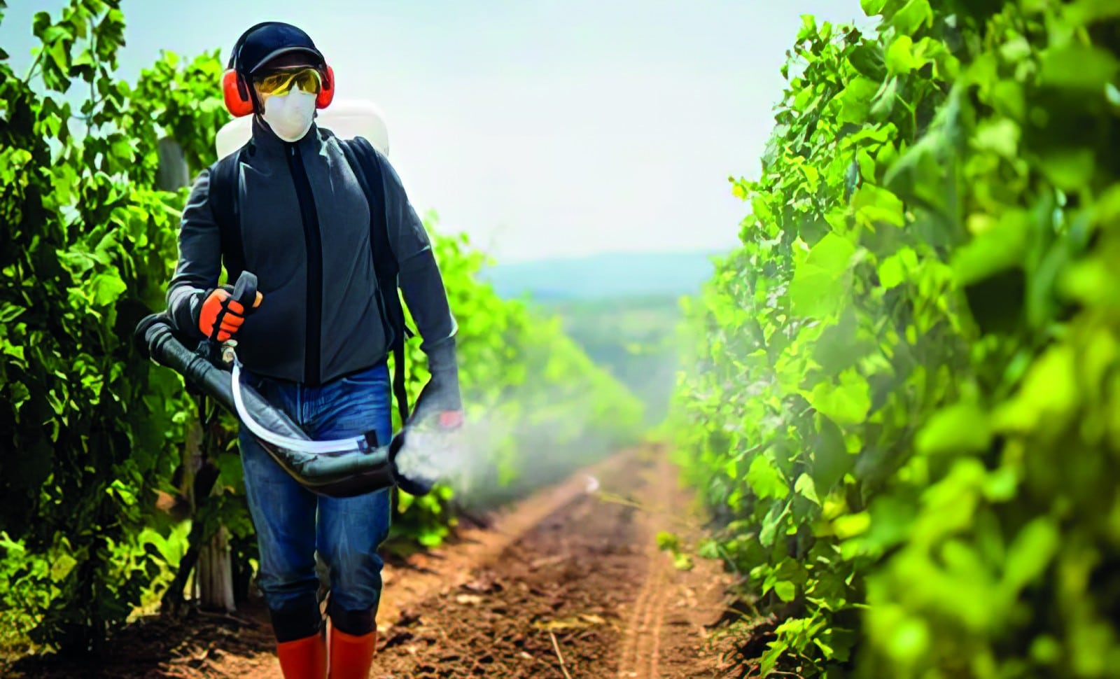 Bio: attention toxique!