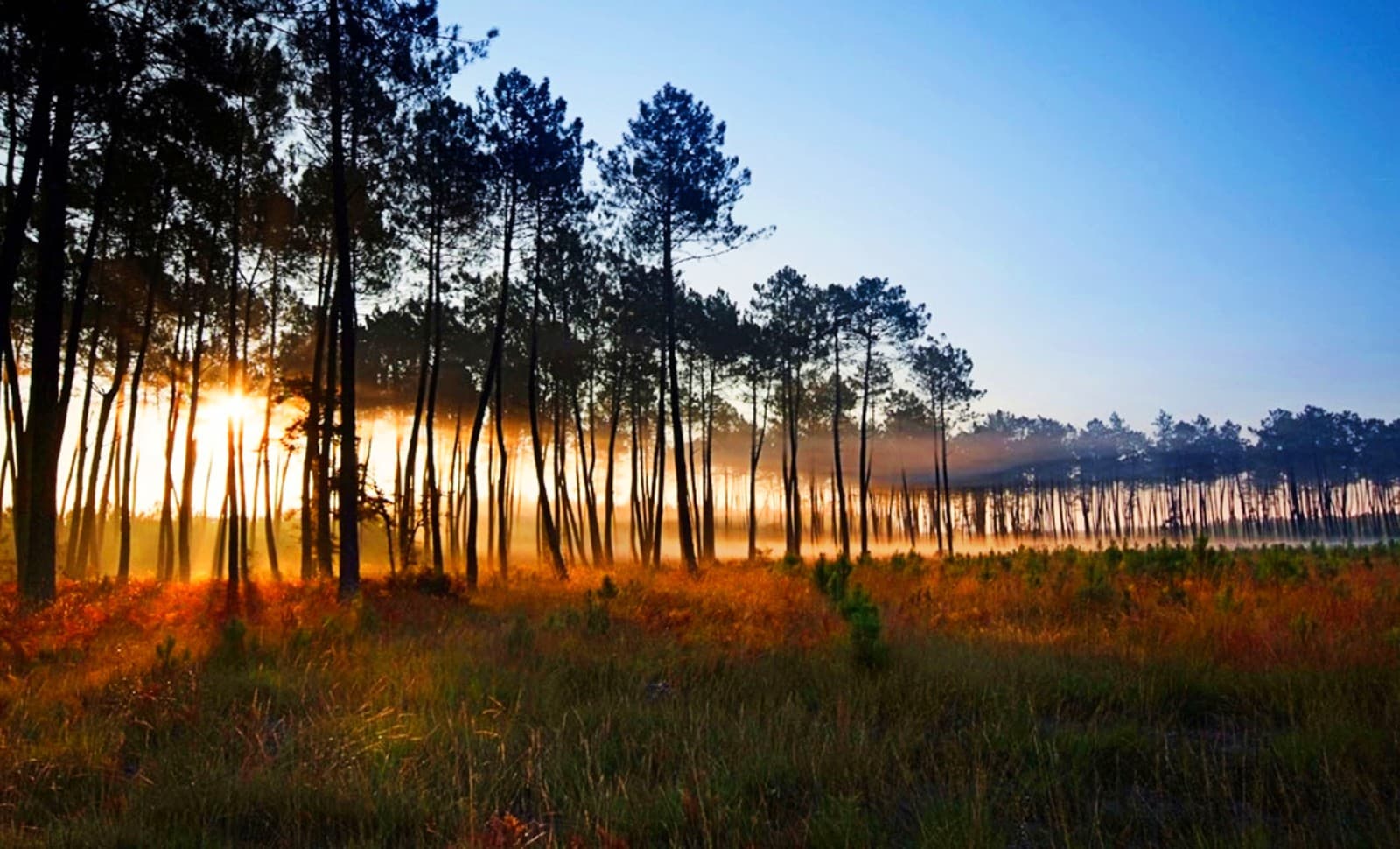 «Mère empoisonneuse» de Dax: ce témoignage qui ébranle l’accusation