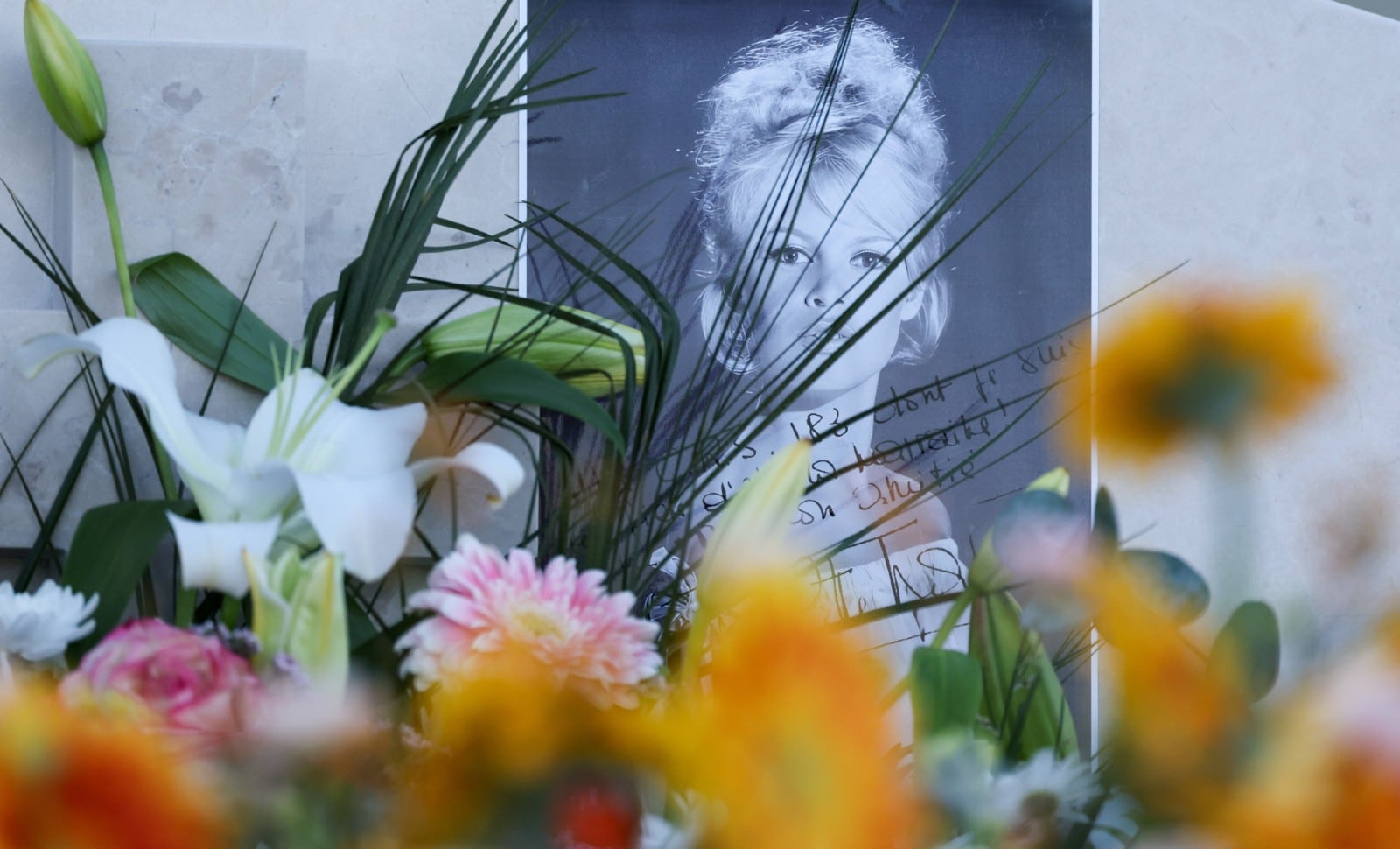 Brigitte Bardot, symbole d’une persistante résistance française