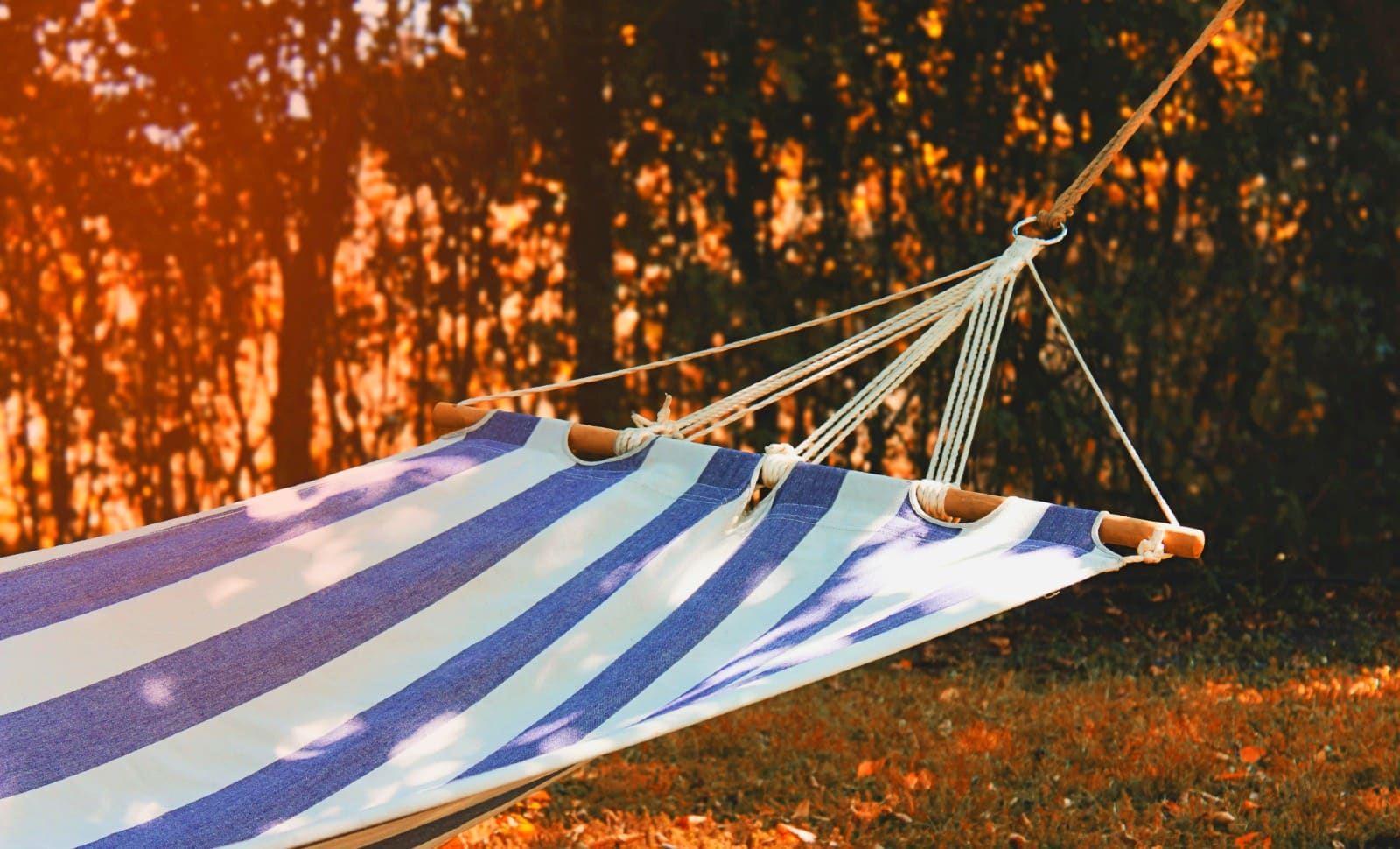 Savoir demeurer au repos, dans une chambre…