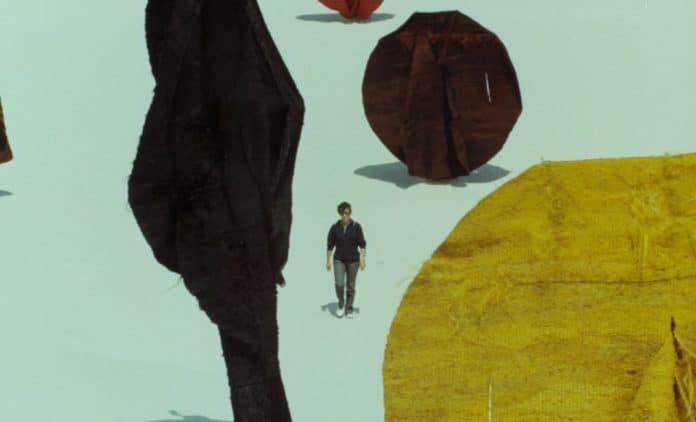 abakany-magdalena-abakanowicz