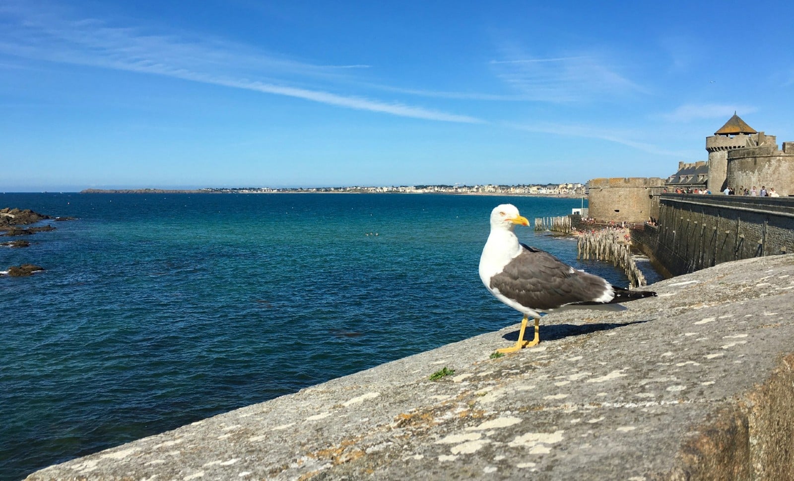 À Saint-Malo, la peur de “devenir Rennes” fait campagne