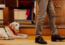 Il y a une vie après l’Assemblée…