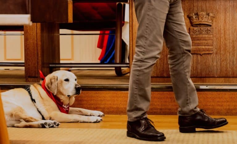 Il y a une vie après l’Assemblée…