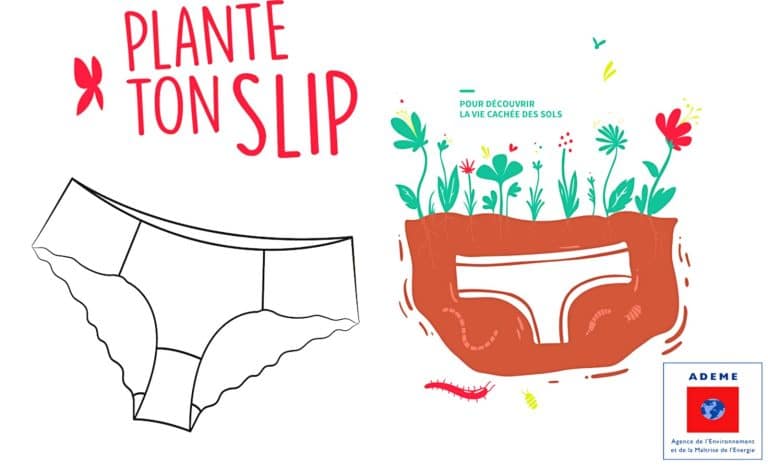 «Plante ton slip»: l&rsquo;Ademe perpétue sans le savoir une tradition plus que millénaire