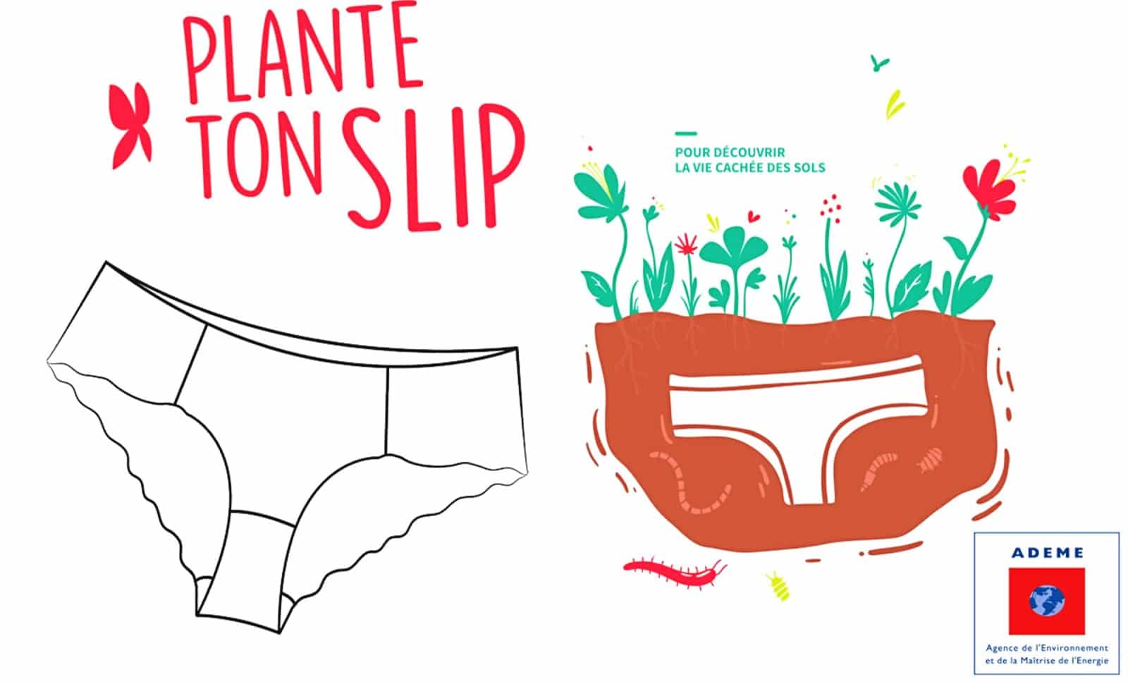 «Plante ton slip»: l&rsquo;Ademe perpétue sans le savoir une tradition plus que millénaire