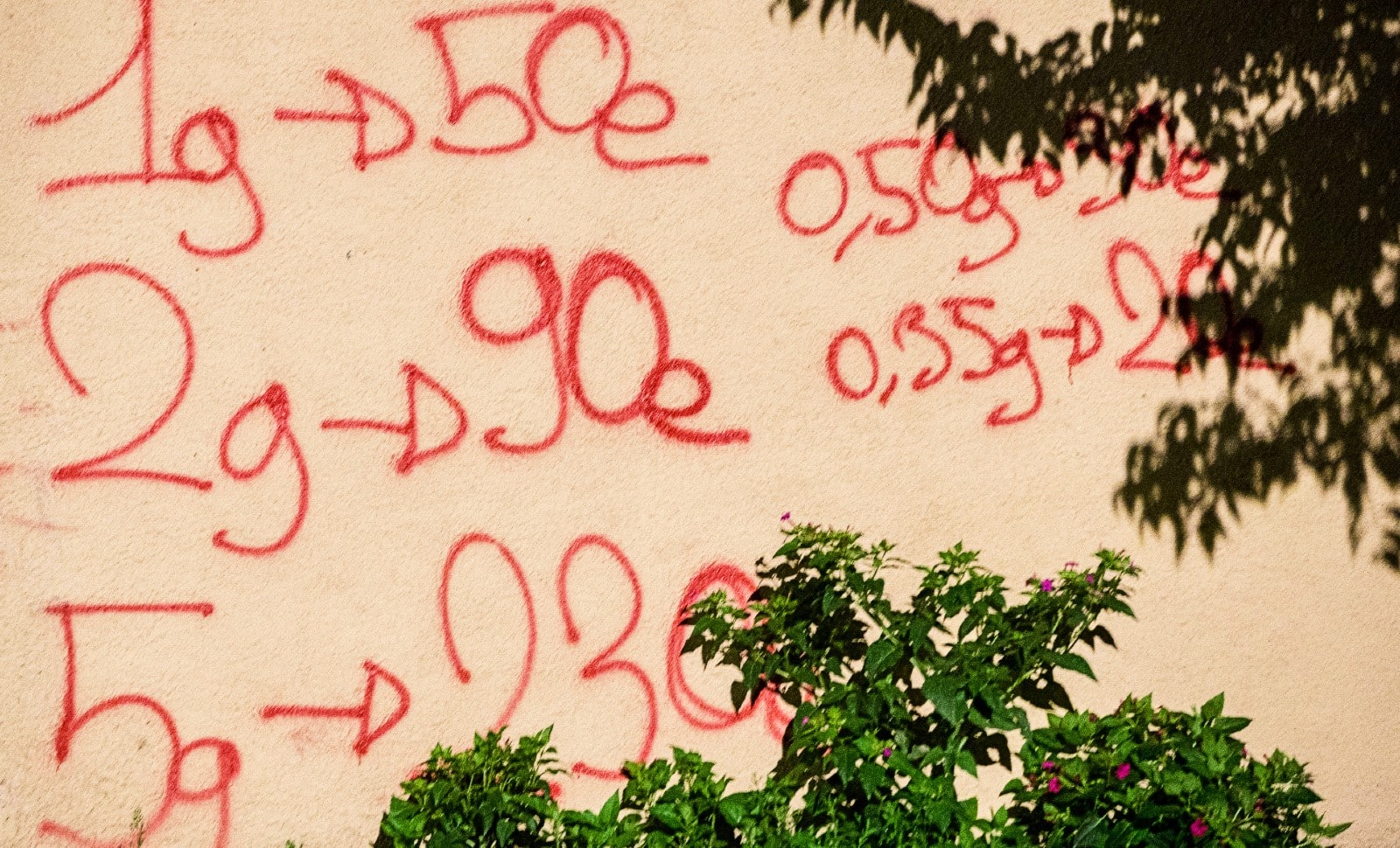 La nuit française à Toulouse