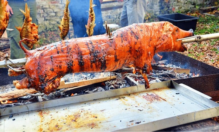 Quand le cochon à la broche devient suspect