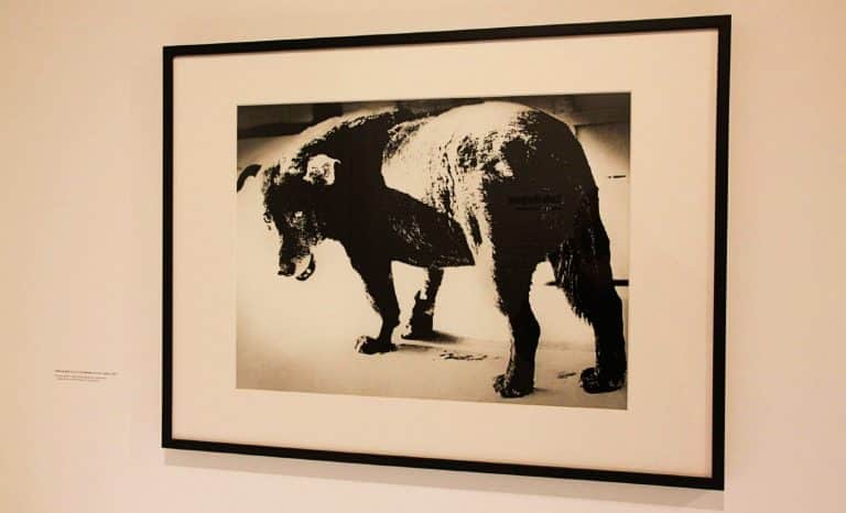 Daido Moriyama: la photo de l’extase