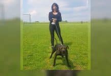 Le chien Curtis toujours dans le couloir de la mort