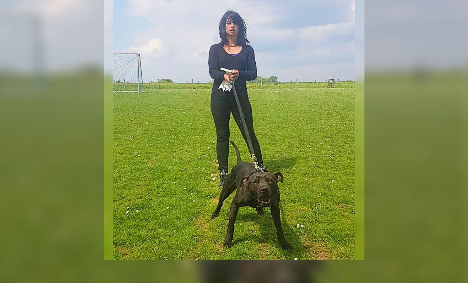 Le chien Curtis toujours dans le couloir de la mort