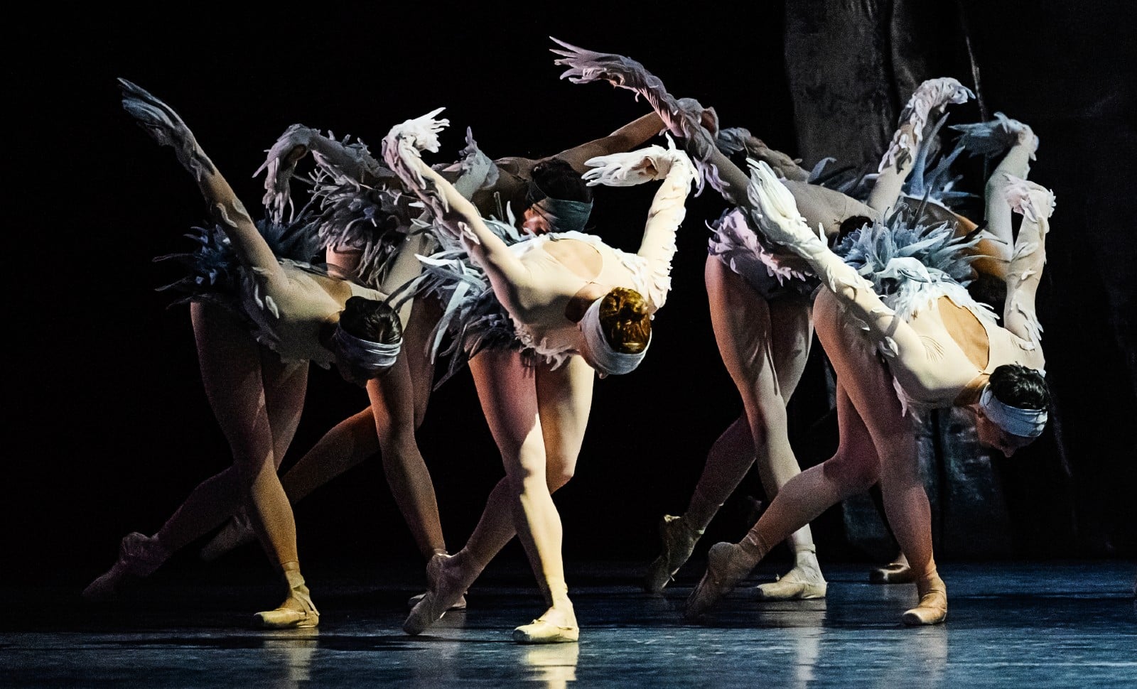 Les Ballets de Monte-Carlo, un séduisant quadragénaire