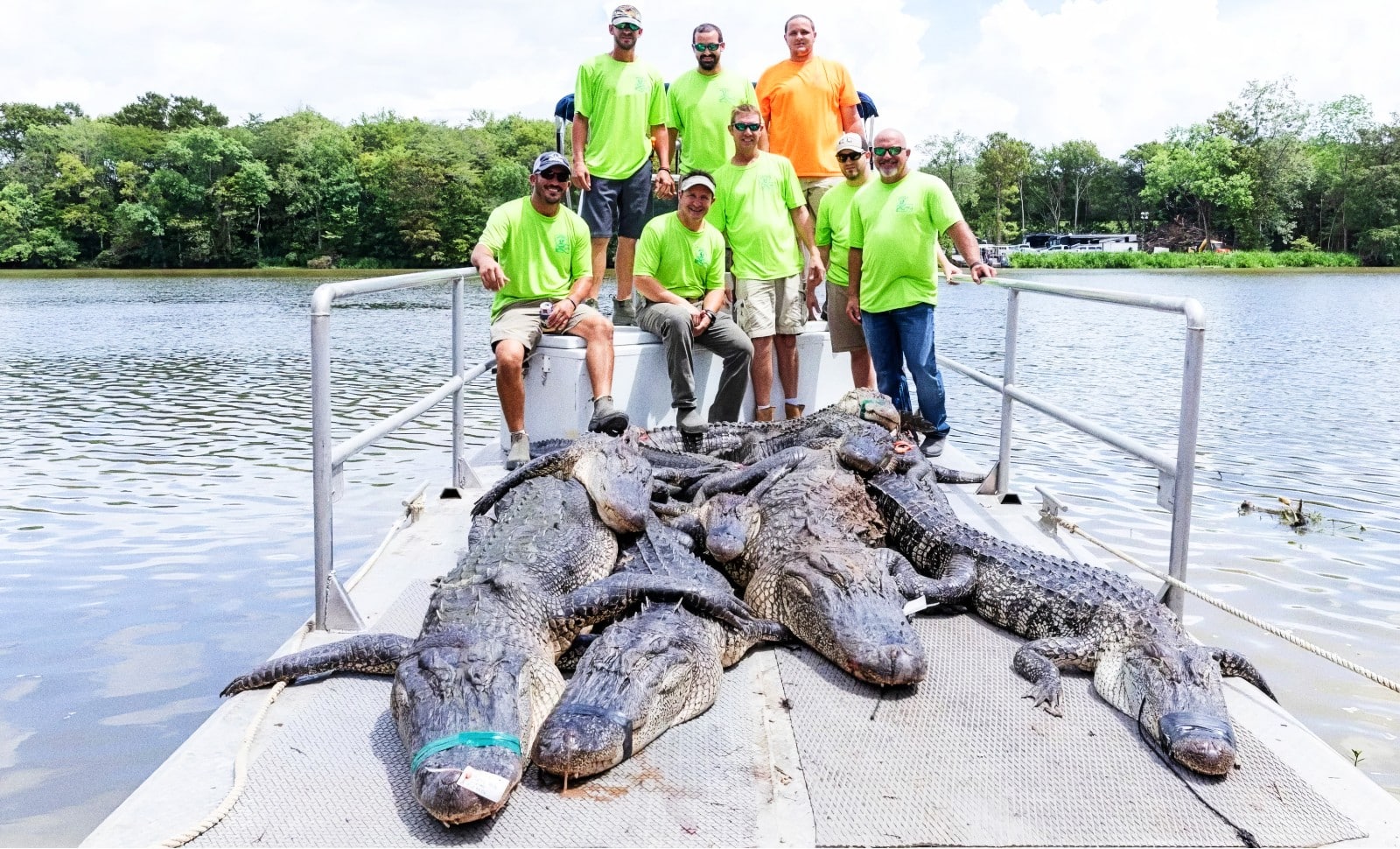 Alligator Dundee