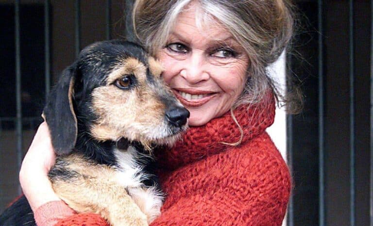 Heureux l’homme qui a vécu parmi les chiens!