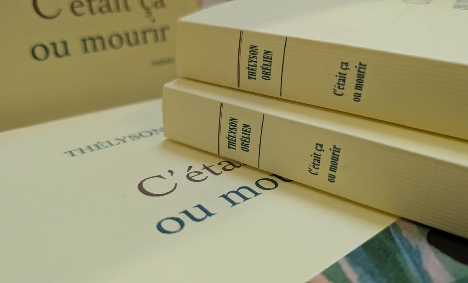 L’Intelligence Artificielle, nègre ultime